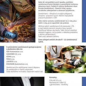 Reference / Grafické práce