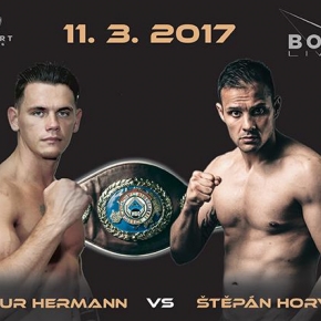 Reference / výroba grafiky