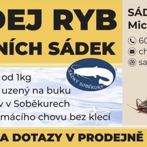 Reference / výroba grafiky